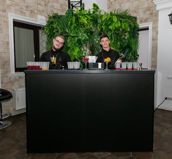 Профессиональная барная стойка рис 2