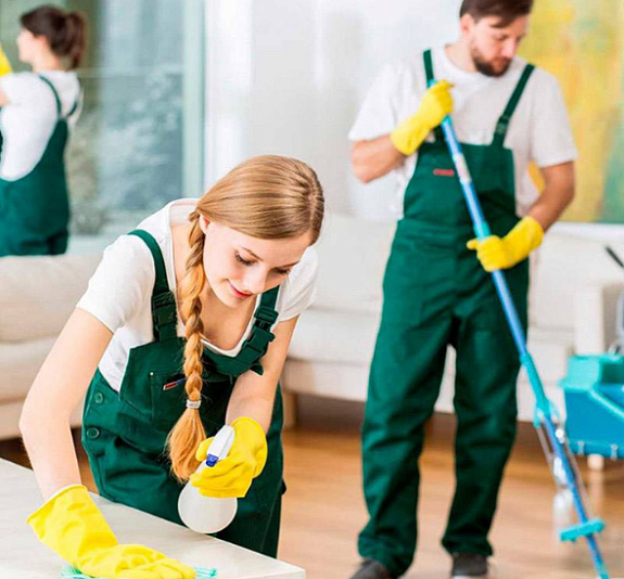 Клининг рис 2