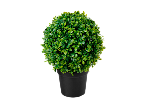 Искусственное растение Самшит