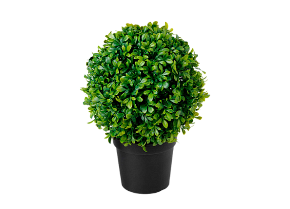 Искусственное растение Самшит