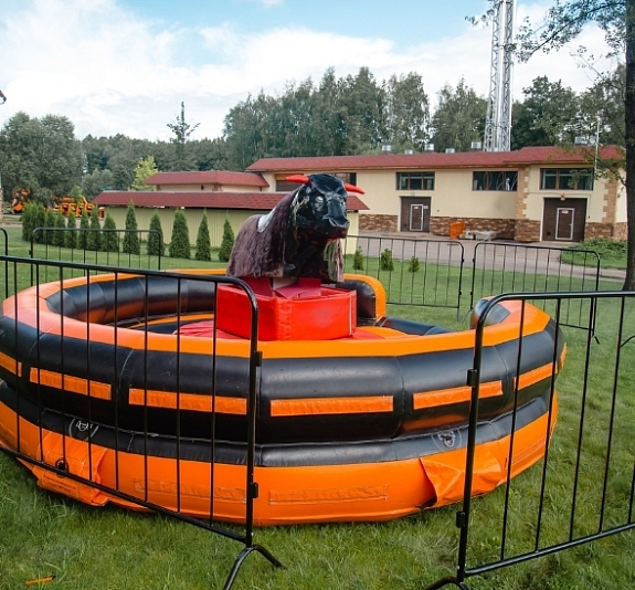 картинка Аттракцион Бык Родео от компании Рент-Бери