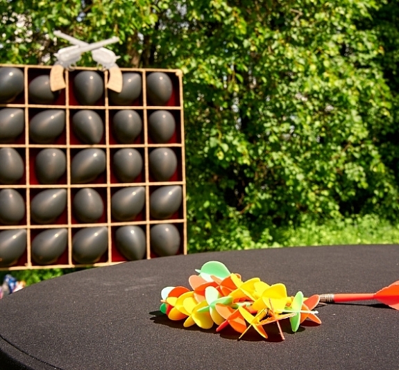 картинка Дротиковый тир от компании Рент-Бери