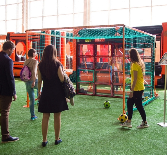 Интерактивные ворота рис 1