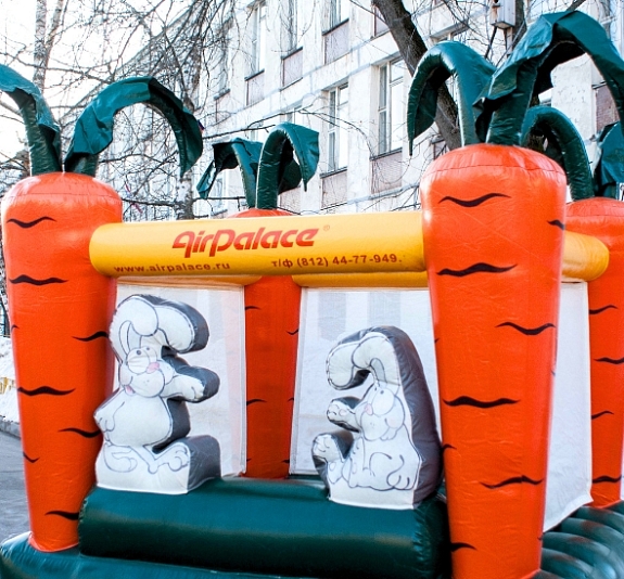 Батут с сухим бассейном "Морковка" рис 2