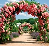 картинка Арка для роз LeafDesign от компании Рент-Бери