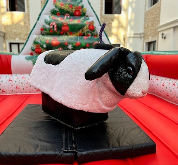 картинка Родео "Кролик" от компании Рент-Бери