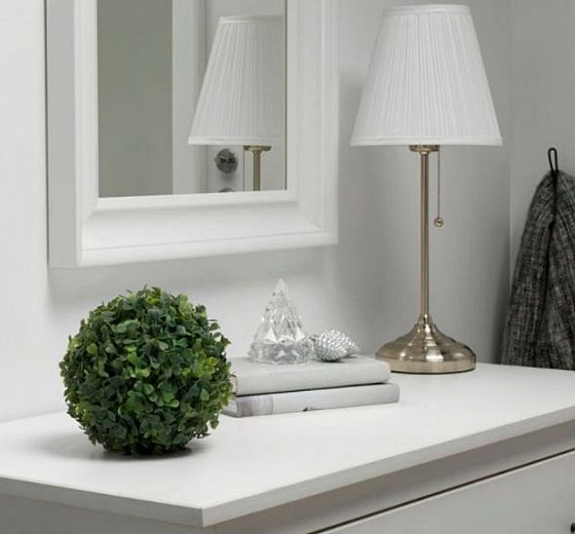 Самшит без ножки рис 2