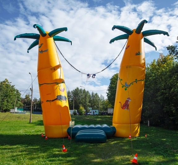 картинка Батут Кенгуру "Пальмы" от компании Рент-Бери