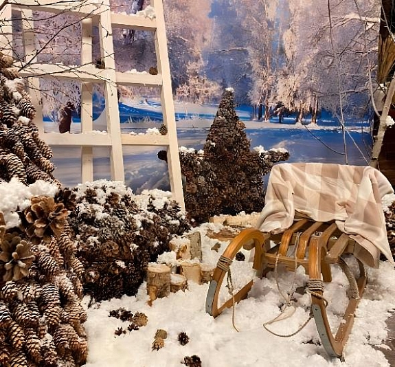 картинка Фотозона "Сибирский лес" от компании Рент-Бери