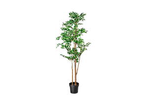 Искусственное растение Фикус Бенджамина