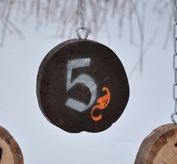 картинка Тир "Деревянный" от компании Рент-Бери