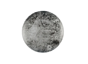 Тарелки Lunar