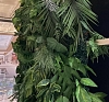 Искусственное растение Ховея Форстера рис 1