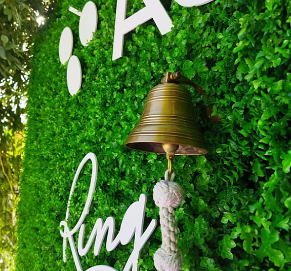 Анимированная фотозона «Шампанское» рис 6