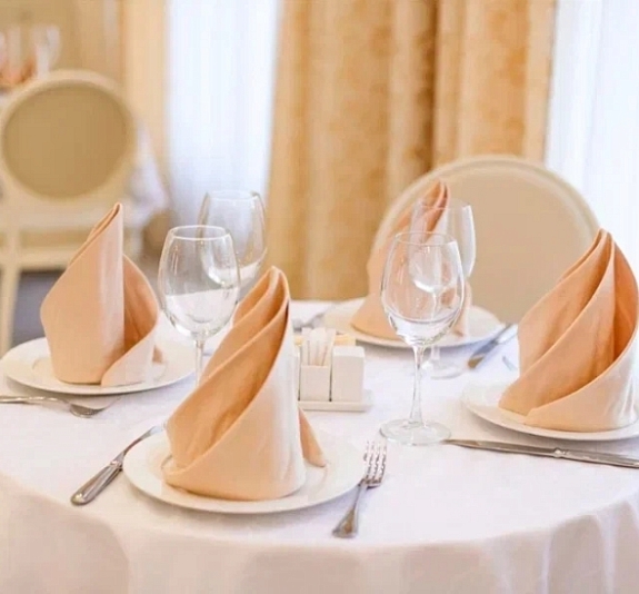 Салфетка шампань «Жаккард» 45х45 рис 3