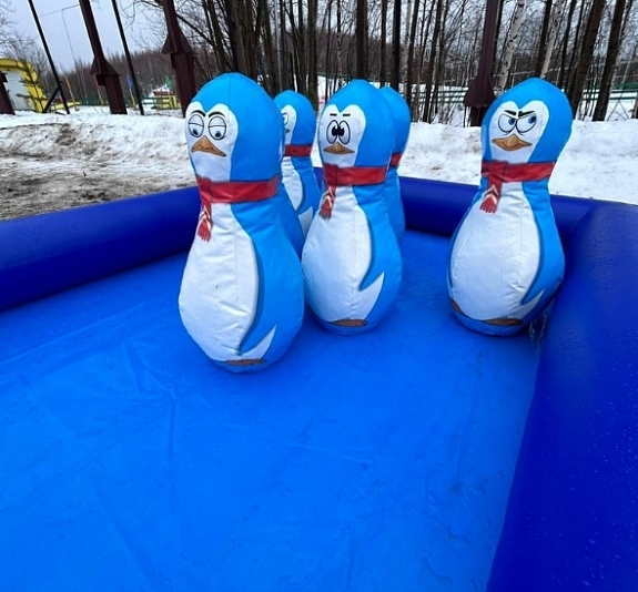 картинка Боулинг "Пингвины" от компании Рент-Бери