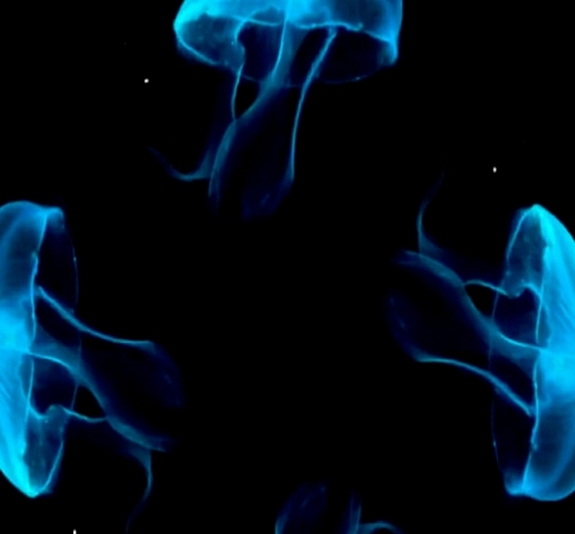 картинка Голографическая стена 3х3 black от компании Рент-Бери