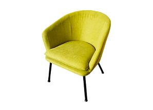 Кресло Barbara Neon