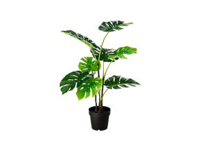 Монстера искусственная