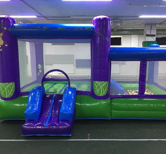 Батут с сухим бассейном "Джунгли" рис 2