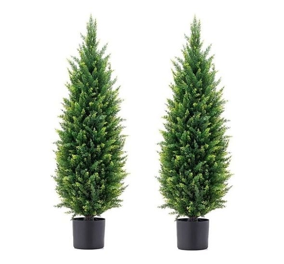 Туя Real Touch рис 1