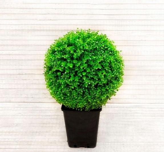 Искусственное растение Самшит рис 2