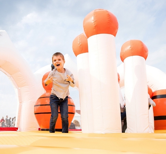 Батут "Чудесная поляна" рис 2