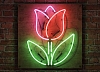 Неоновая вывеска «Тюльпан» в аренду