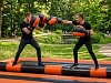 Гладиаторские бои на бревне рис 1