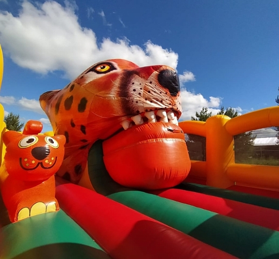 Батут с движущейся пастью "Акуна Матата" рис 3