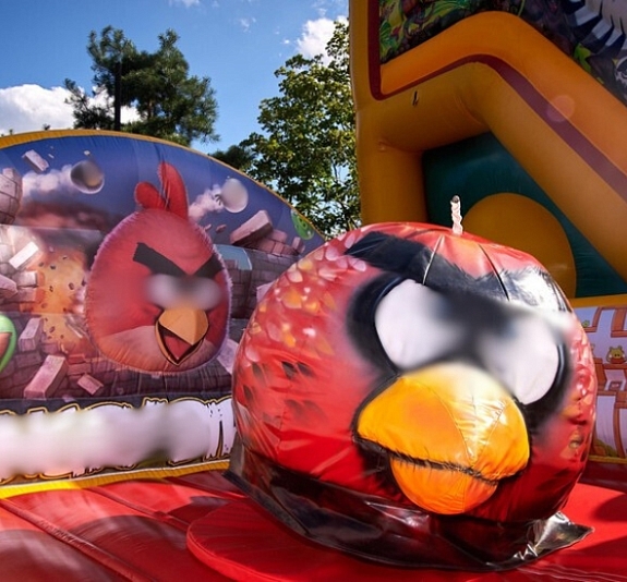 Родео Летающие пташки рис 3