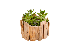 Флорариум с дрифт вудом