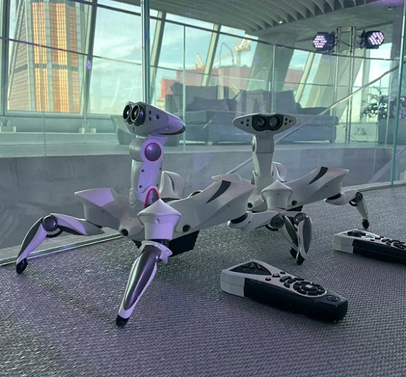 Луноходы рис 3