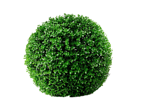 Самшит без ножки Real Touch