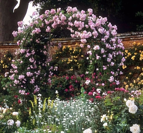 картинка Арка для роз LeafDesign от компании Рент-Бери