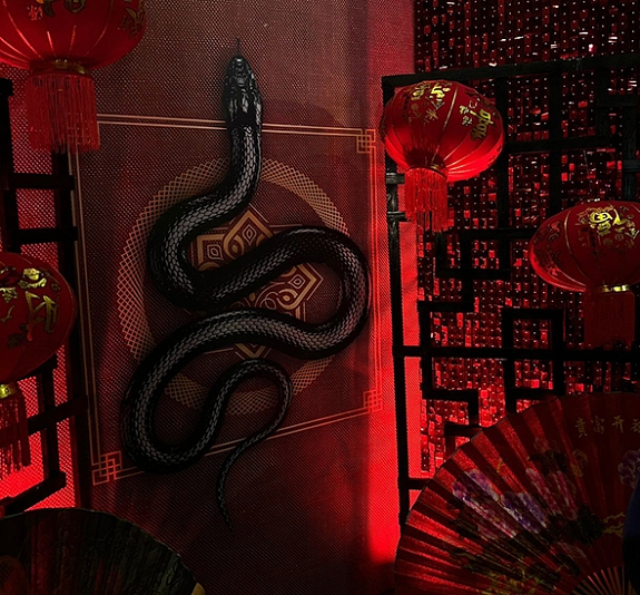 Фотозона "Китайский змей 2025" рис 3