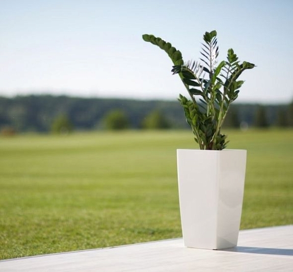 картинка Кашпо от компании Рент-Бери