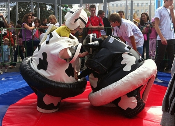 картинка Сумо "Быки" от компании Рент-Бери