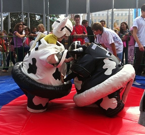 картинка Сумо "Быки" от компании Рент-Бери