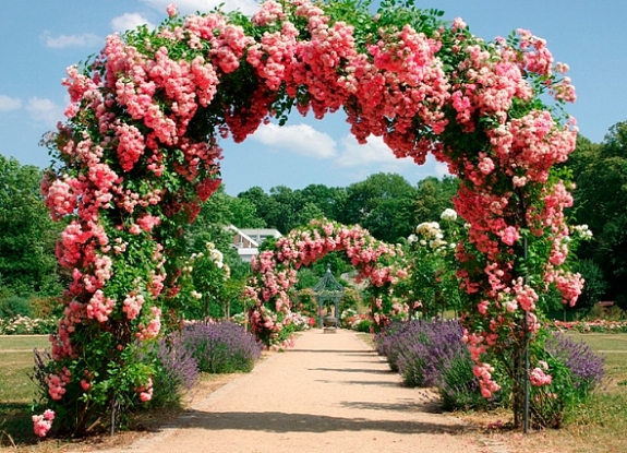 картинка Арка для роз LeafDesign от компании Рент-Бери