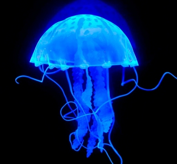 картинка Голографическая стена 3х3 от компании Рент-Бери