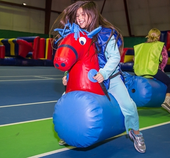 картинка Конь надувной от компании Рент-Бери