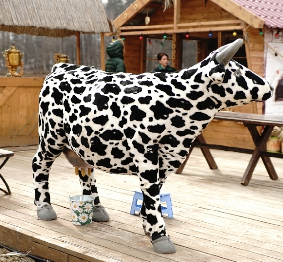 картинка Пивная корова от компании Рент-Бери