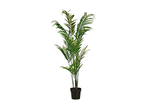 Искусственное растение Ховея Форстера