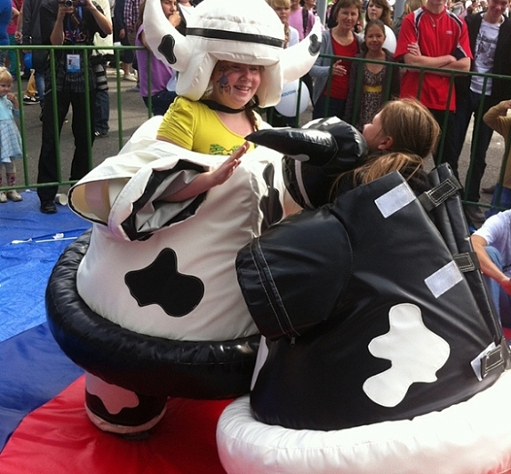 картинка Сумо "Быки" от компании Рент-Бери