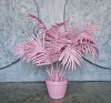 Пальма Pink рис 2