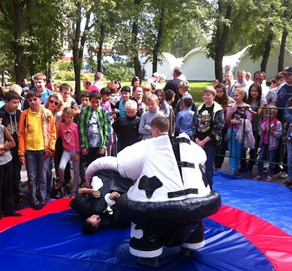 картинка Сумо "Быки" от компании Рент-Бери