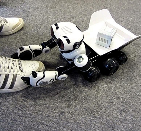 РобоБот рис 1