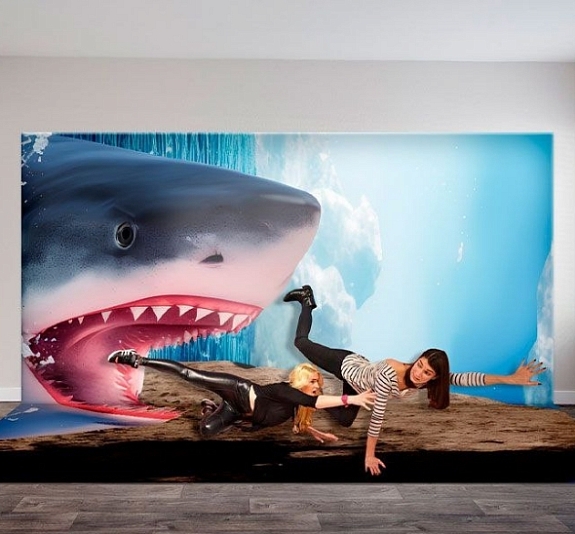 Фотозона оптические иллюзии «Акула» рис 3