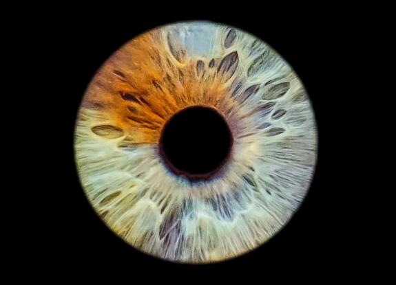 картинка Фотозона "Радужка глаза" от компании Рент-Бери